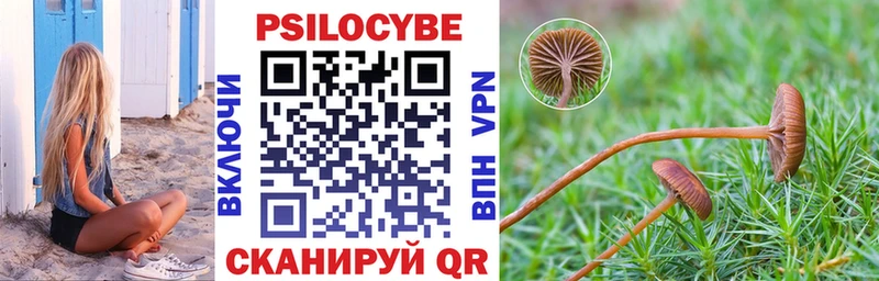 Купить закладки  Козловка  Псилоцибиновые грибы мицелий 